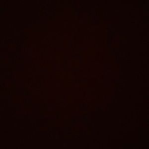 Meet your Posher, Zion